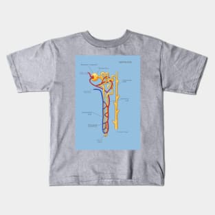 Nephron Of The Kidney, Illustration Kids T-Shirt